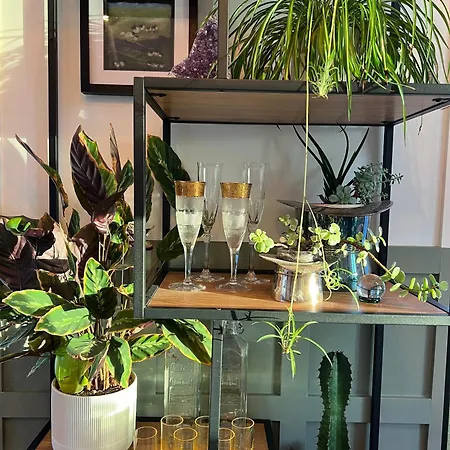 Thistledown 4* Fethard on Sea