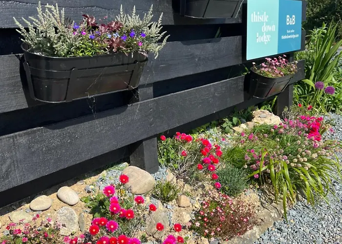 Bed & Breakfast Thistledown 4*